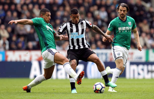 他并不追求 他并不追求